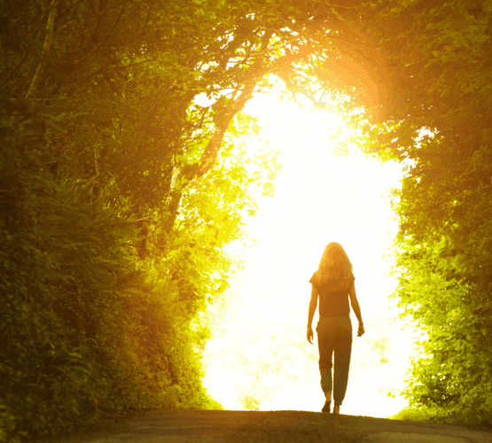 Path leading toward light, inviting the viewer to begin the journey